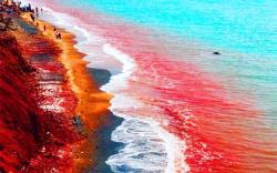 گشت هرمز (ساحل سرخ)