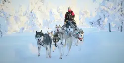 پارک هاسکی (پارک هاسکی)