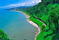 null (بتانیکال گاردن باتومی)