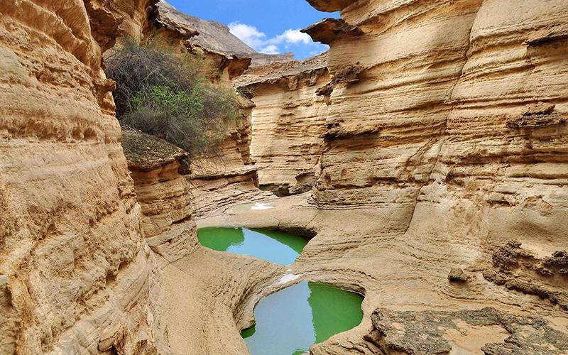 قشمگردی (تنگه چاهکوه)