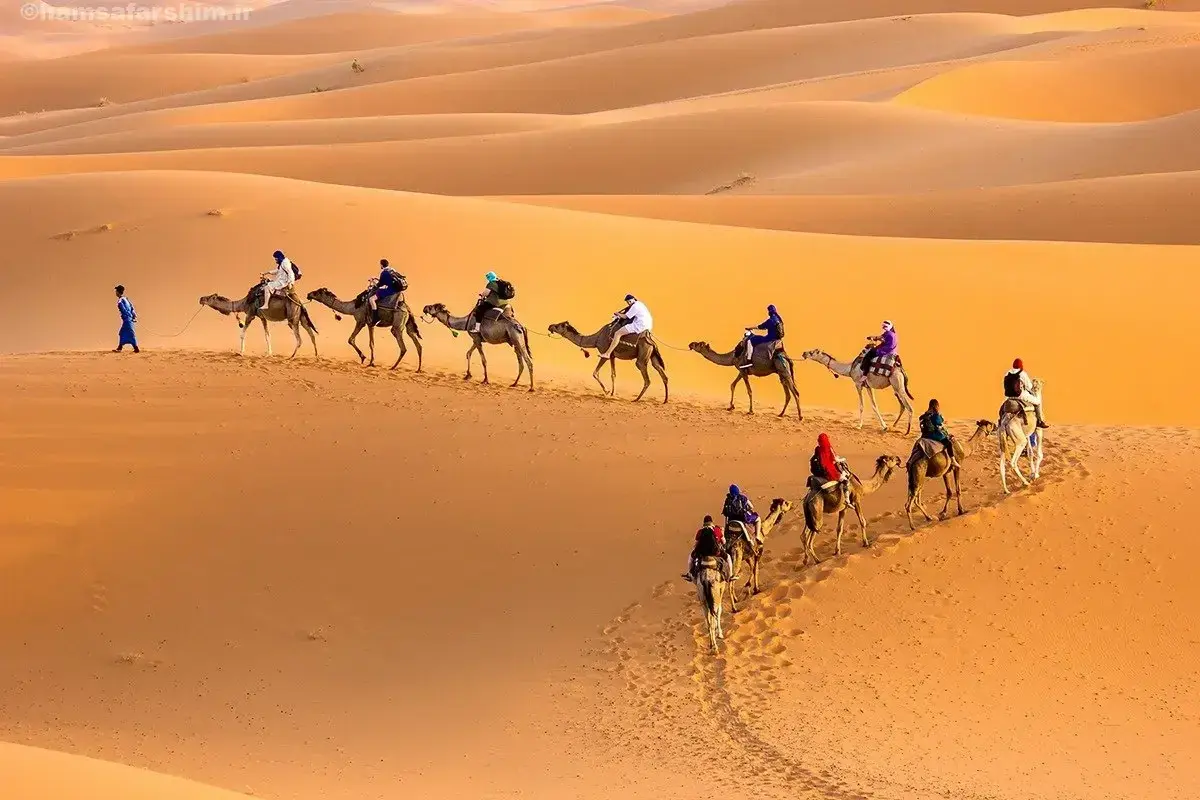 شتر سواری (شتر سواری در مصر)
