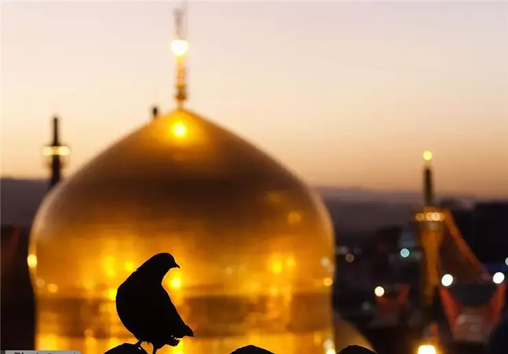 تور هوایی مشهد