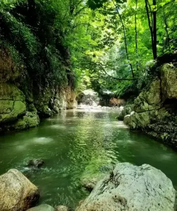 تور تنگه دار و مرداب سراوان